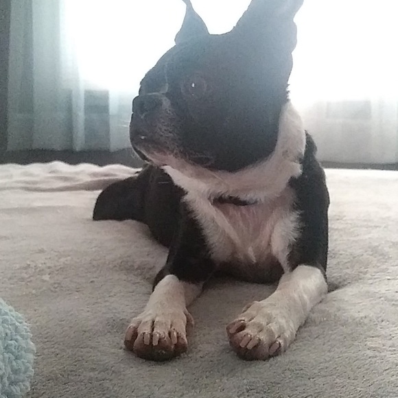 HELLO GORGEOUS! - Picture 11 of 14